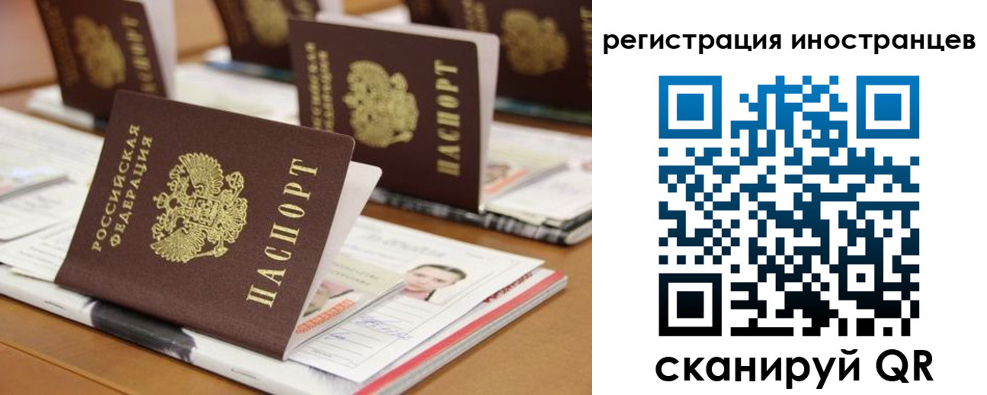 пропишу в квартире в Полярном