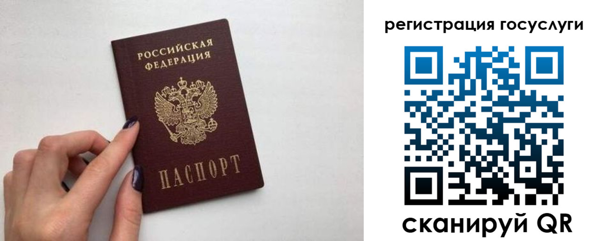 временная регистрация гарантия в Полярном